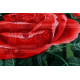 Extra 10% When Buying 2 Items or more! Reliable Seller!