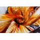Extra 10% When Buying 2 Items or more! Reliable Seller!