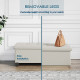 Extra 10% When Buying 2 Items or more! Reliable Seller!